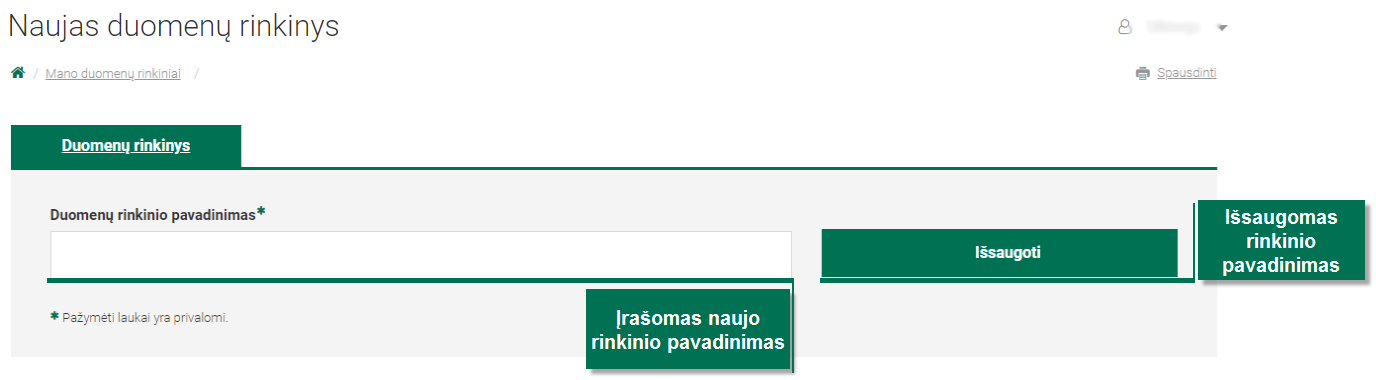 3. Duomenų rinkinio kūrimas