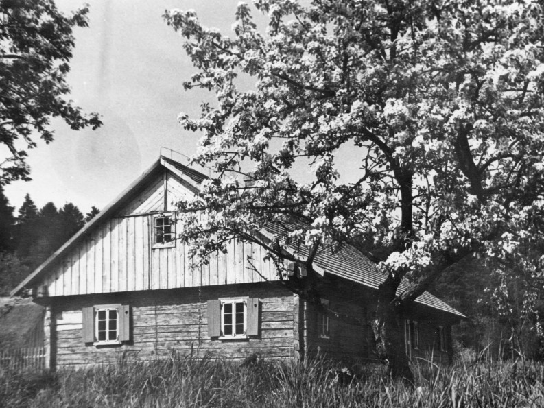 Dwelling house. Obelinės Farmstead. 1978. LBM 50112