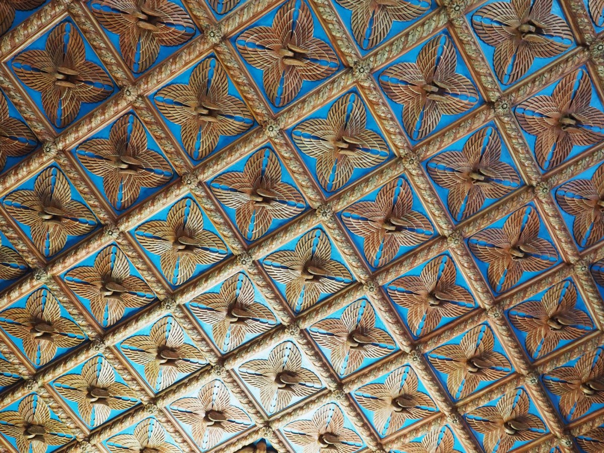 PA270493.JPG