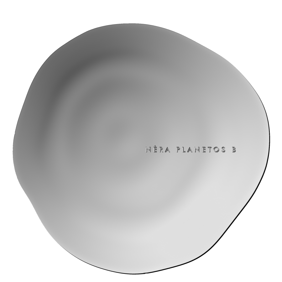 Moneta "Nėra planetos B"