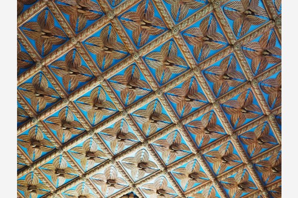 PA270493.JPG