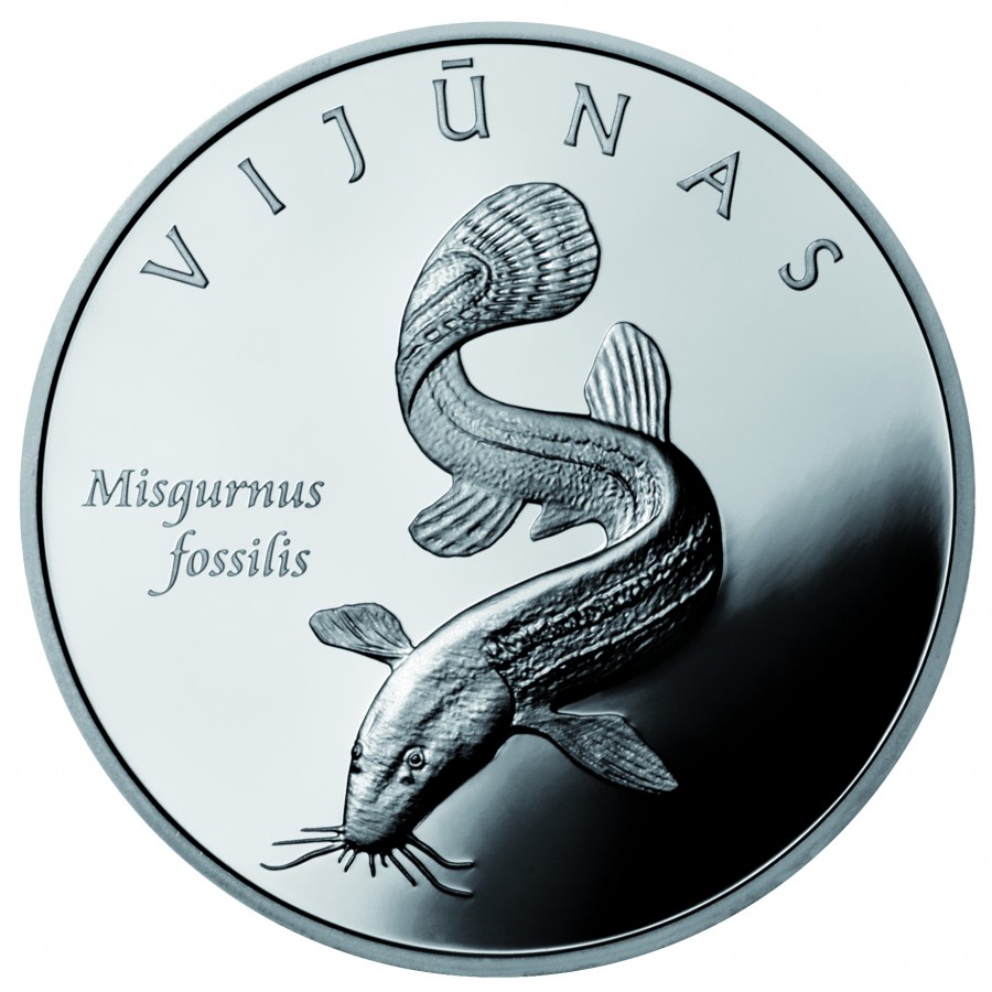 Vijunas 50 Lt REV copy.jpg
