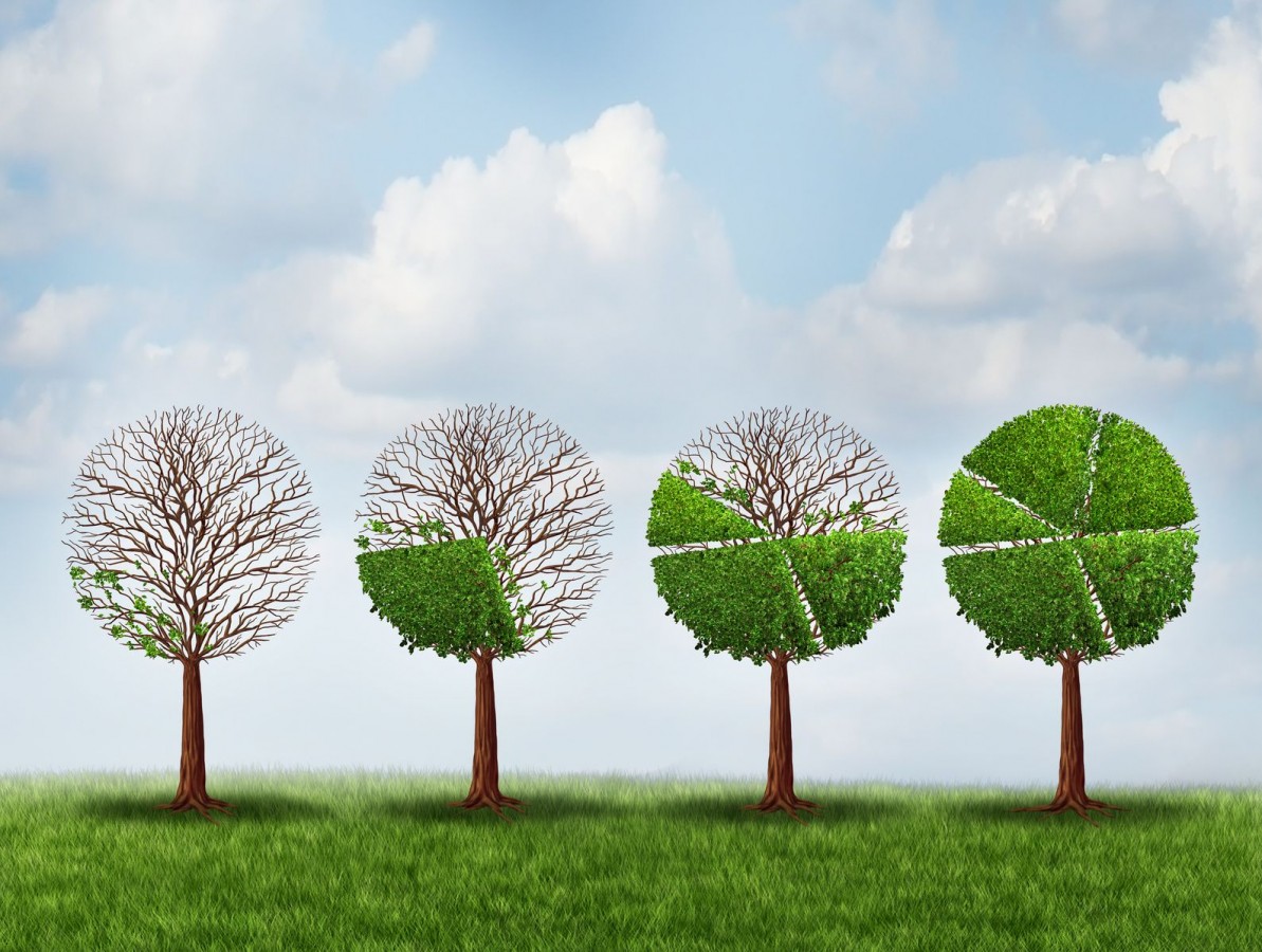 Fotolia_81124067_Subscription_Monthly_M.jpg