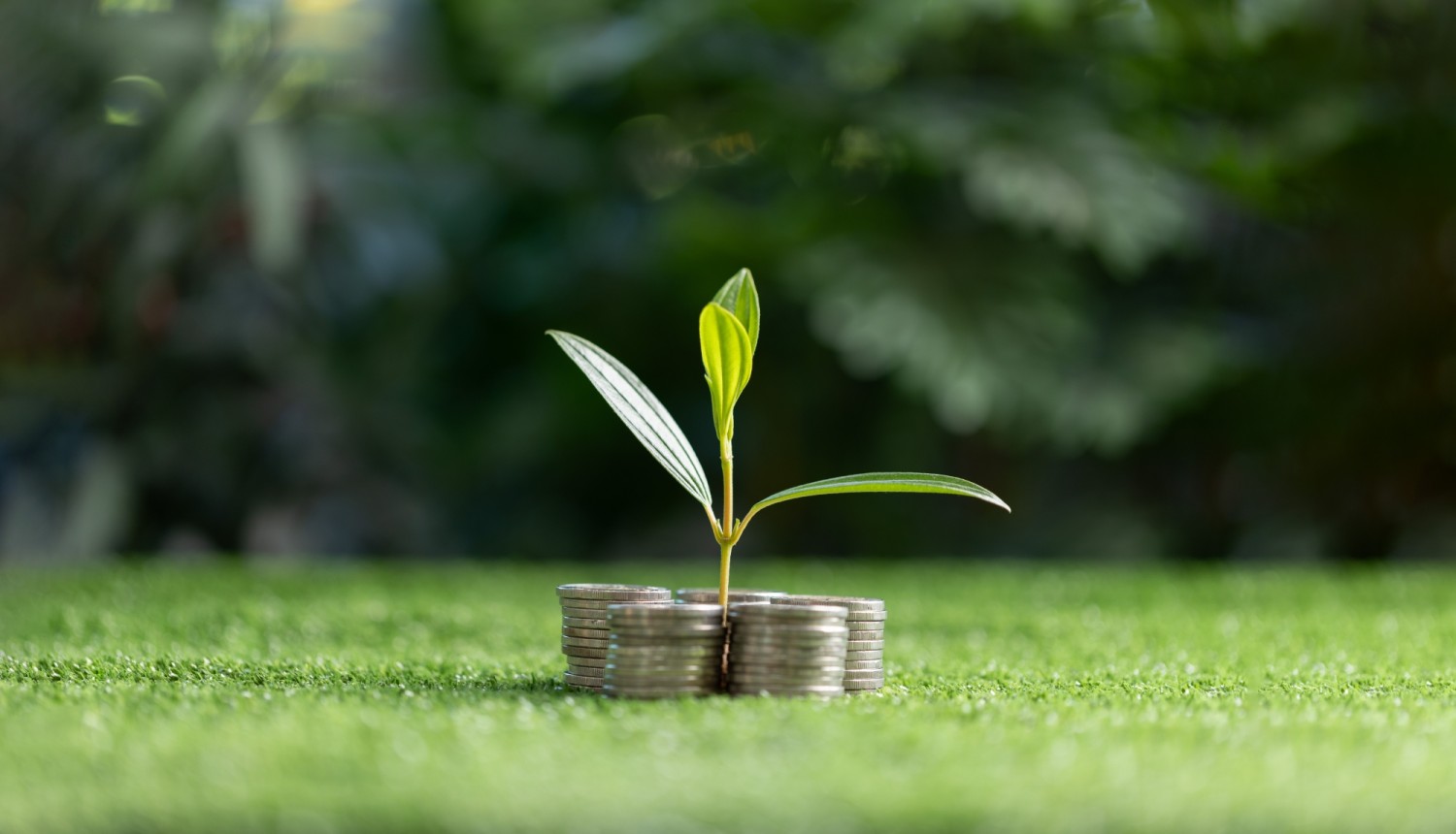 Kriptoturtas: sukčių įrankis ar finansinė priemonė?