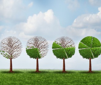 Fotolia_81124067_Subscription_Monthly_M.jpg
