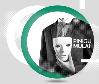 Pinigu_mulai.jpg