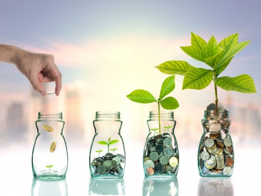Fotolia_123363508_Subscription_Monthly_M (1).jpg