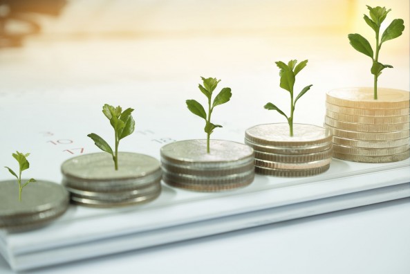 Paskelbta Lietuvos pensijų fondų investicijų į obligacijas analizė