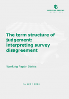 The term structure of judgement: interpreting survey disagreement