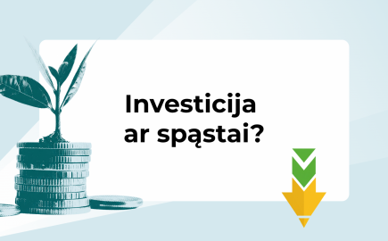Investicija ar spąstai? Kaip atpažinti investicinį sukčiavimą ir apsisaugoti?
